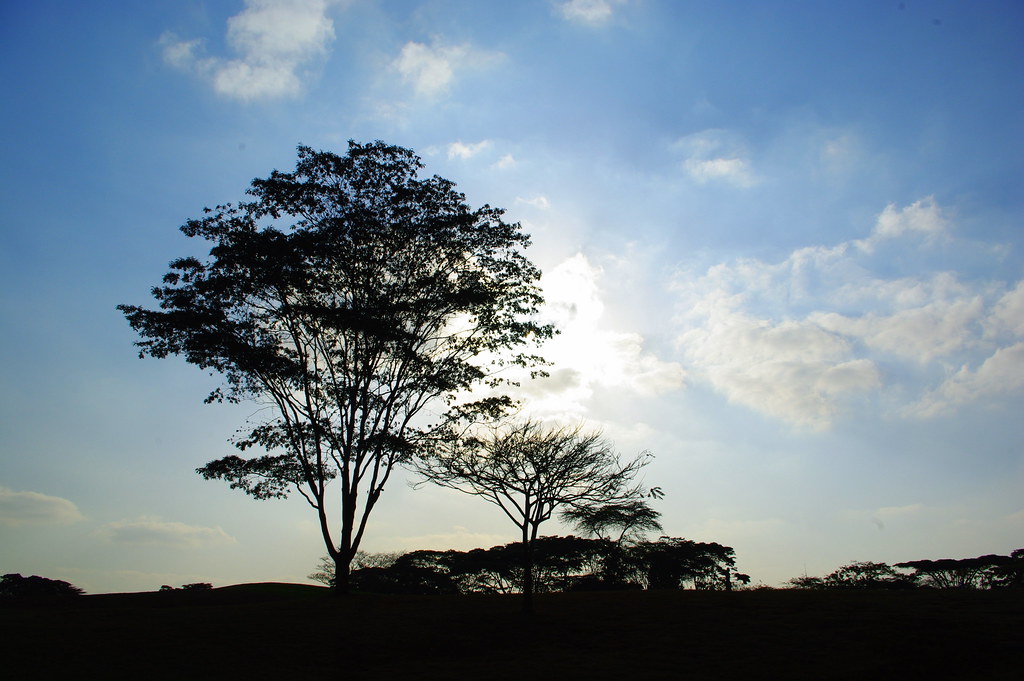 下午六点 内罗毕 UN Compound Gigiri Nairobi Kenya SMC Pentax 2855… Xiaojun Deng Flickr