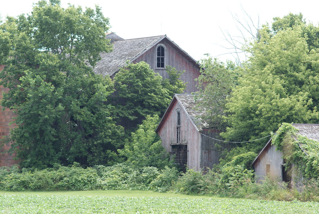 Barn and sheds Near Shirland, IL chumlee10 Flickr