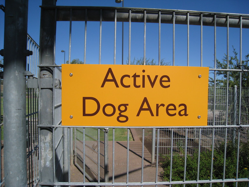 Active Dog Area Scottsdale Dog Park Dru Bloomfield Flickr