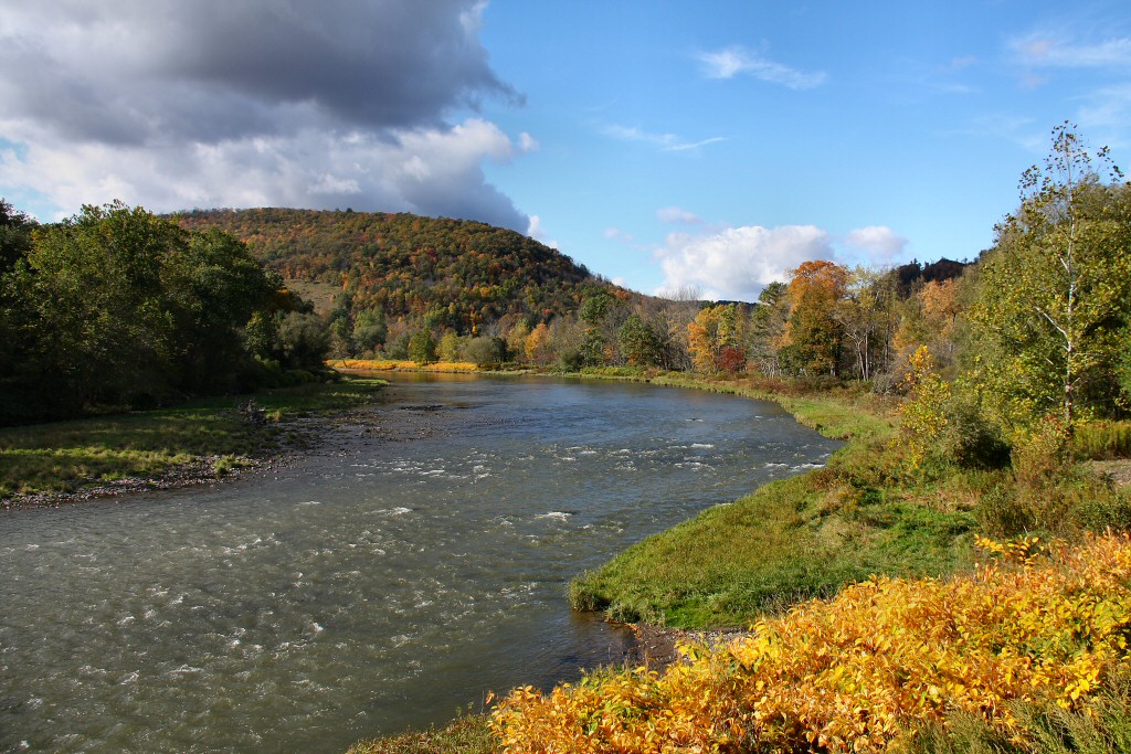East Branch Delaware River, Hancock, NY Taken from the Rte… Flickr