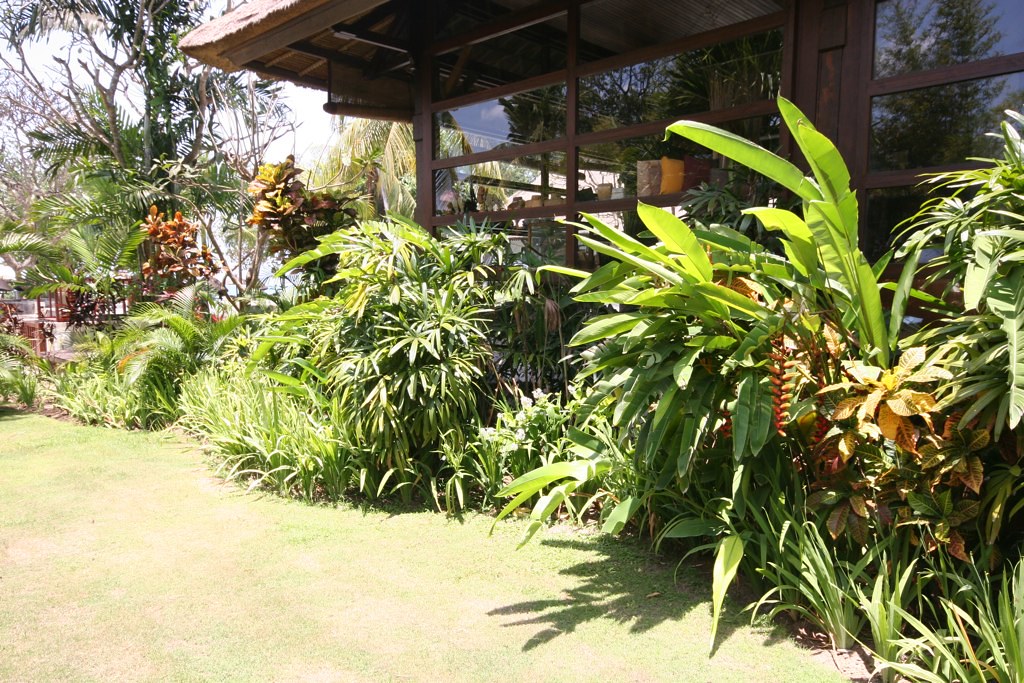 Tropical Garden Plant Bed Idea TheOlsonFive! Olson Flickr