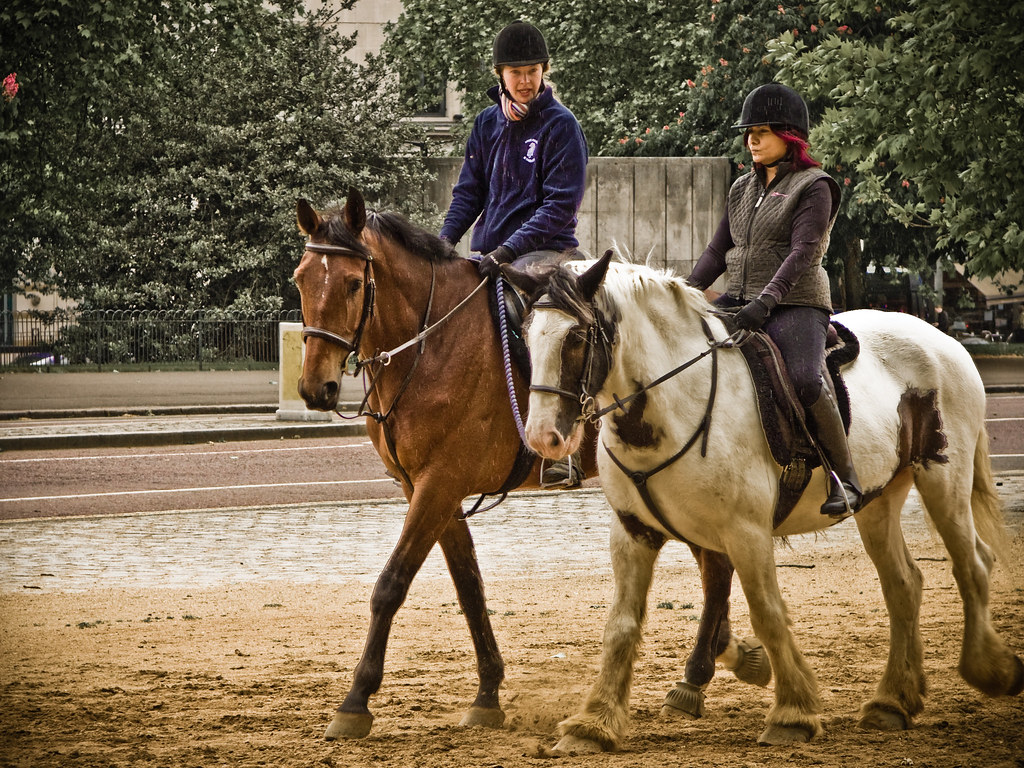 Best Horse Riding in Dubai A Comprehensive Guide