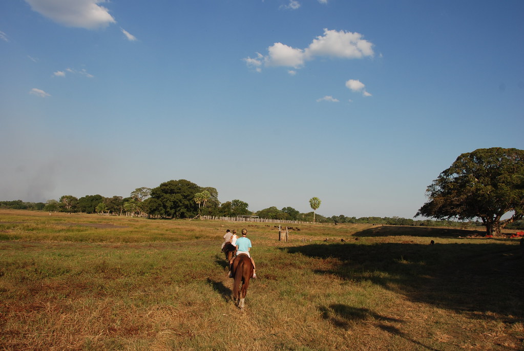 Horseback Riding around the Pantanal K Thomason Flickr