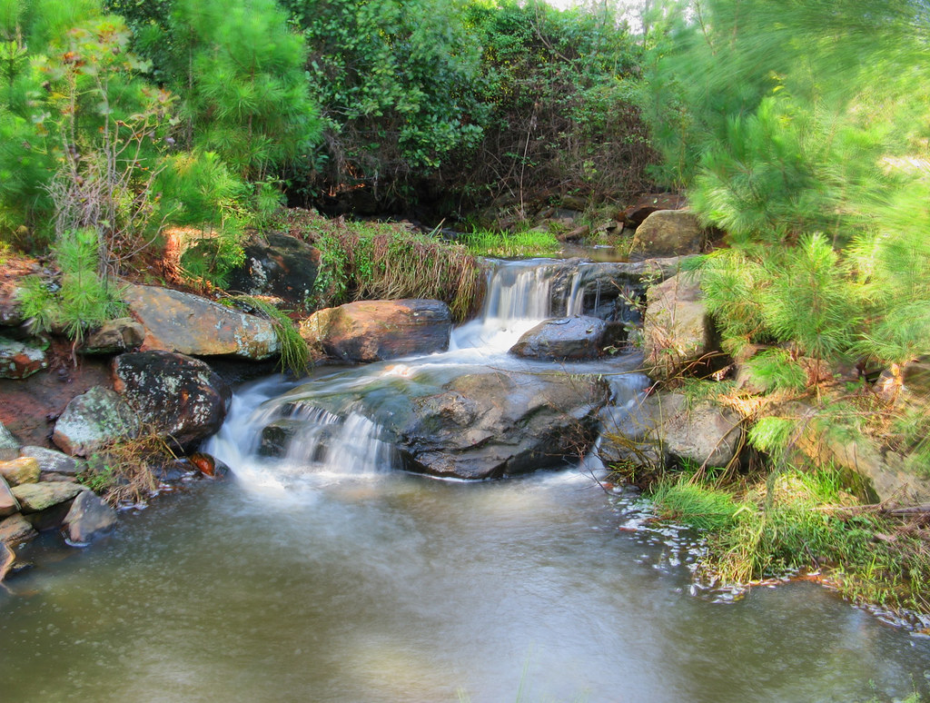Alexander Lake at Panola Mountain Flickr