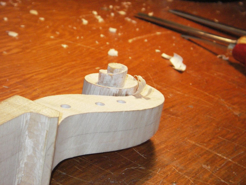 IMGP2203scrollundercut Showing the undercutting of the vol… Flickr