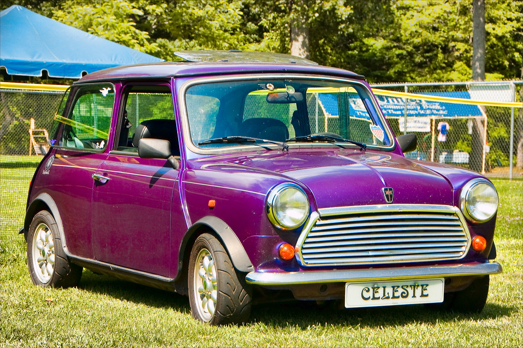 Classic Mini at Blairsville Rick Austin Flickr
