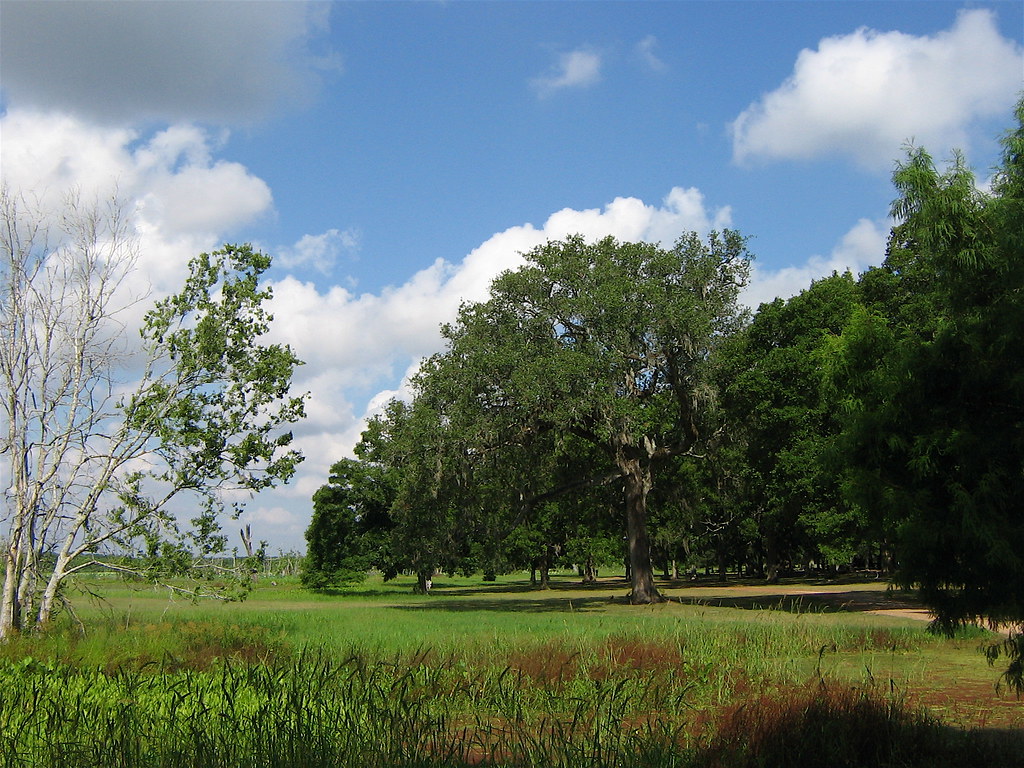 Starting the walk around Elm Lake Brazos Bend State Park T… Flickr