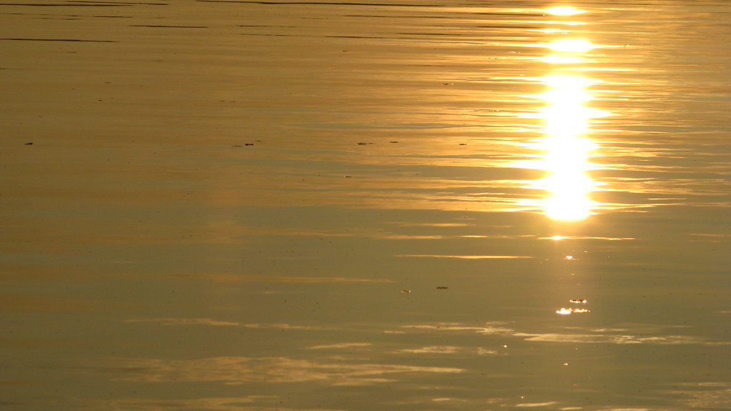 Booth Lake Cottage Summer 09 Steven Mclellan Flickr