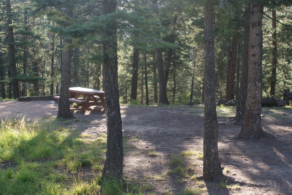 Jack's Creek Campground Forest Flickr