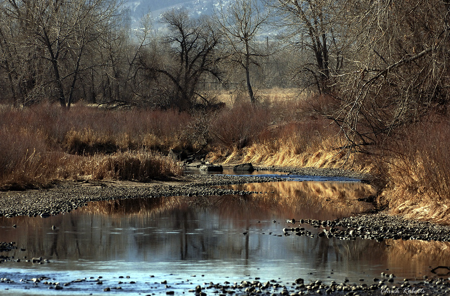 South Platte River Photo taken in South Platte Park, Littl… Flickr