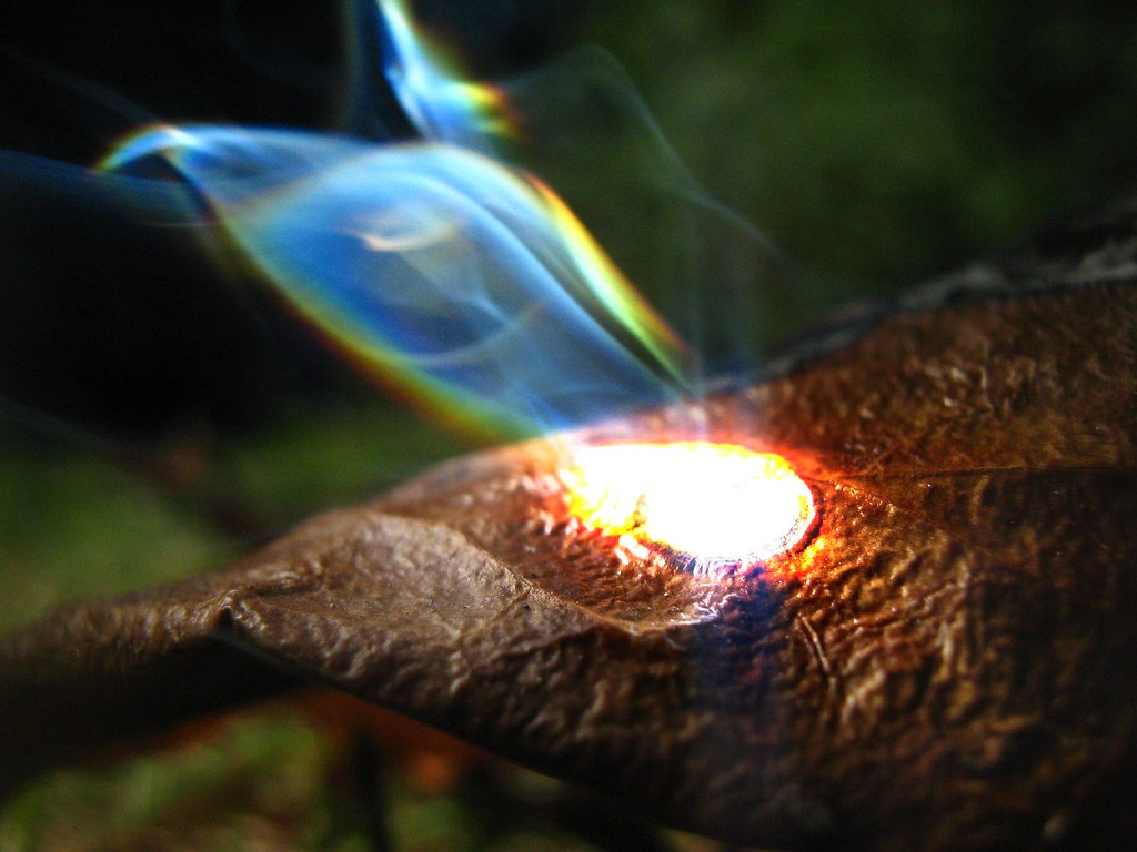 Sunspot We've spent quite a bit of the sunny weekend setti… Flickr