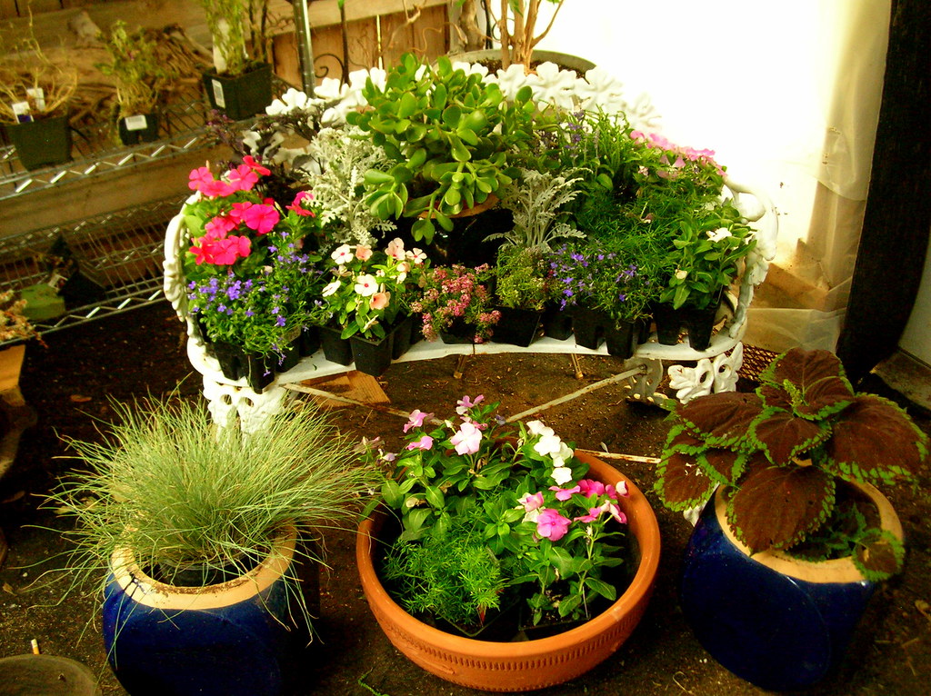 Blue pots with Flowers Michael Toolson Flickr