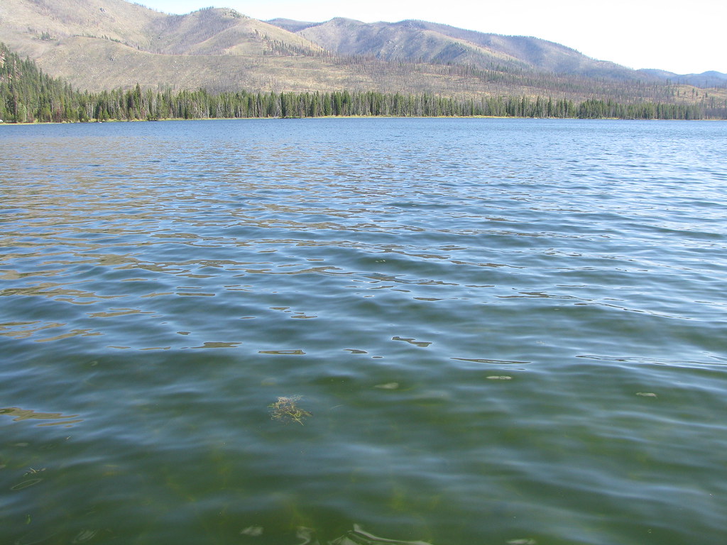 Warm Lake, Idaho Mariusz Flickr
