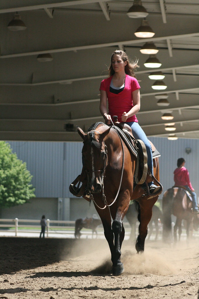 Eastern Ohio Quarter Horse Association AQHA Show Flickr