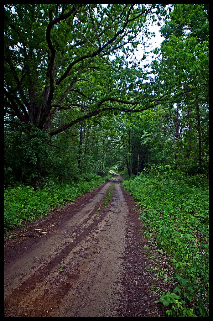 In the country Lapeer State Game Area pro tempore Flickr
