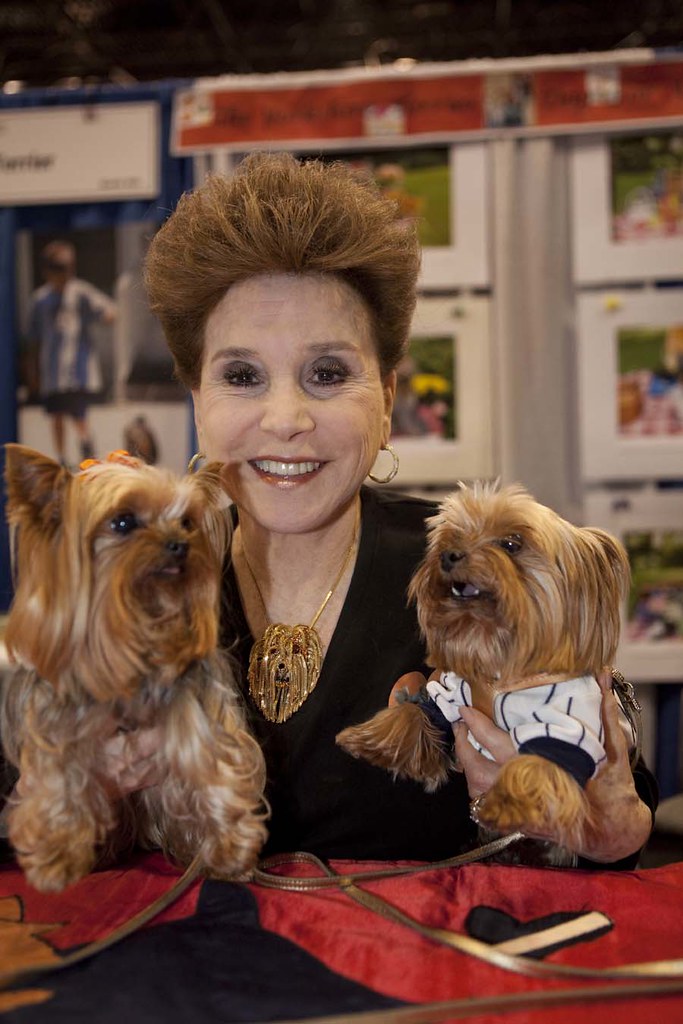 Cindy Adams of the NY Post and her Yorkies American Kennel Club