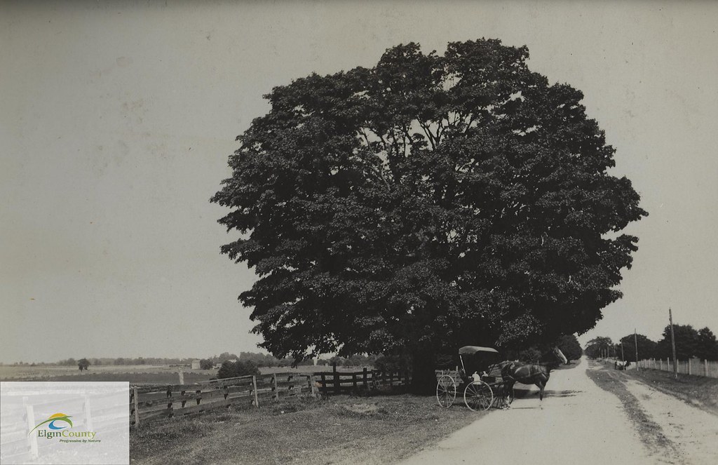 Sparta Road, circa 1905 Title Sparta Road, circa 1905 Cre… Flickr