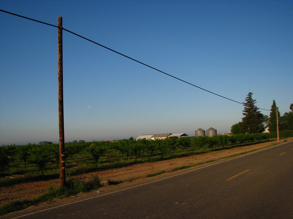 Yuba City Morning Orchard Out on Bogue Road west of the … Flickr