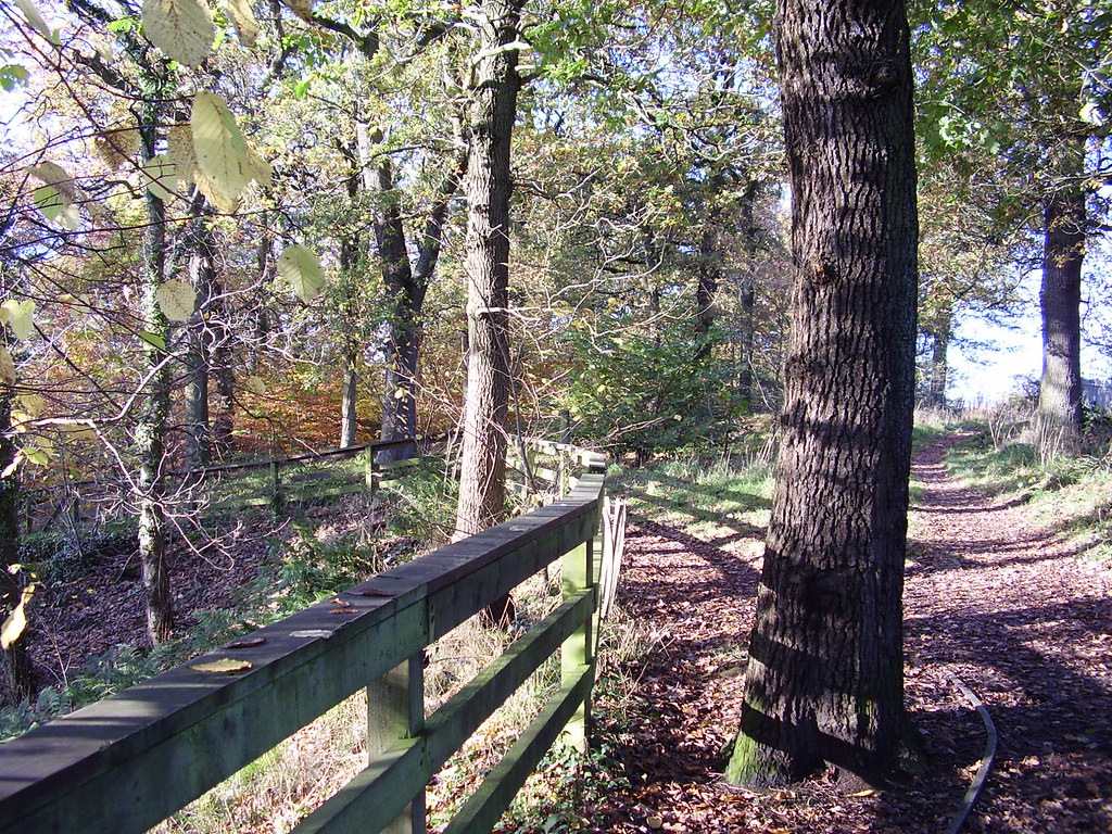 Busby Park Walk in Autumn 4 Click And Pray Flickr