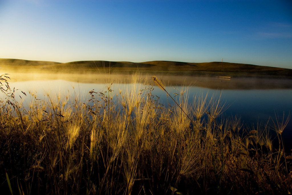 Chilly morning on Waubay Lake Mist formed on Waubay Lake o… Flickr