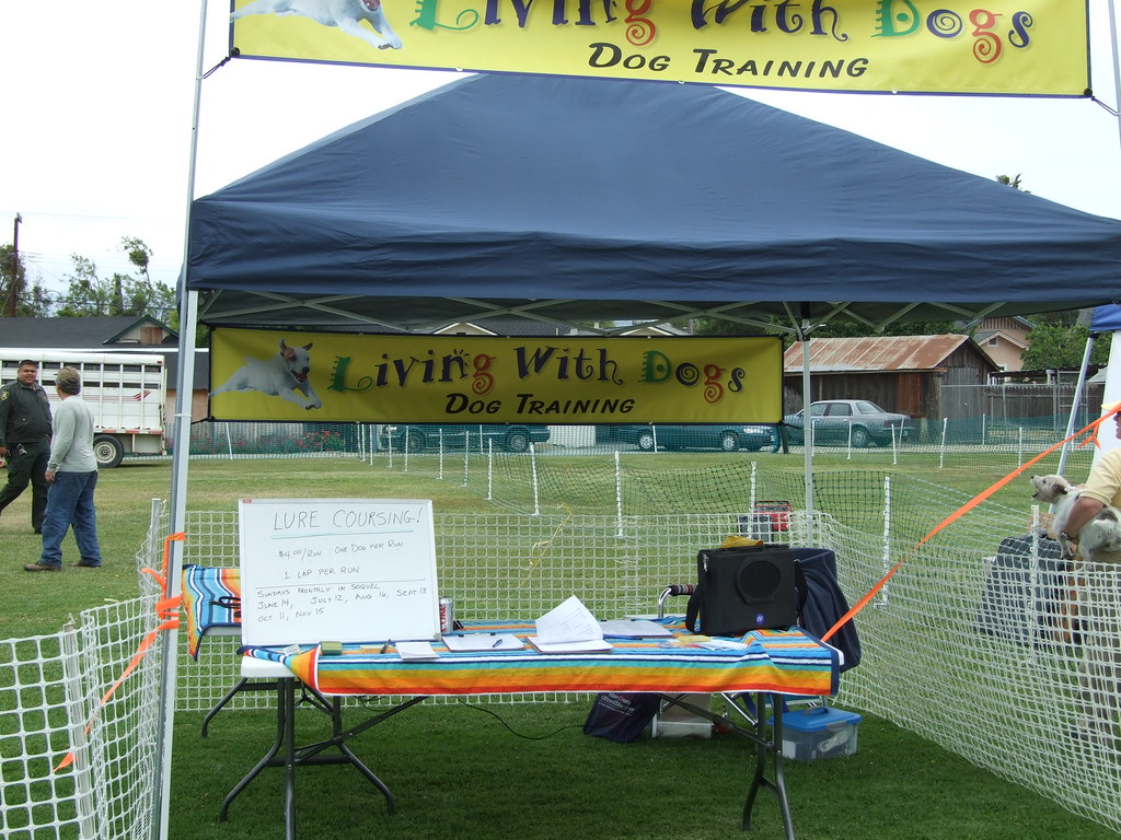 Dog Days of Hollister 2009 059 Dog Days of Hollister May… Flickr