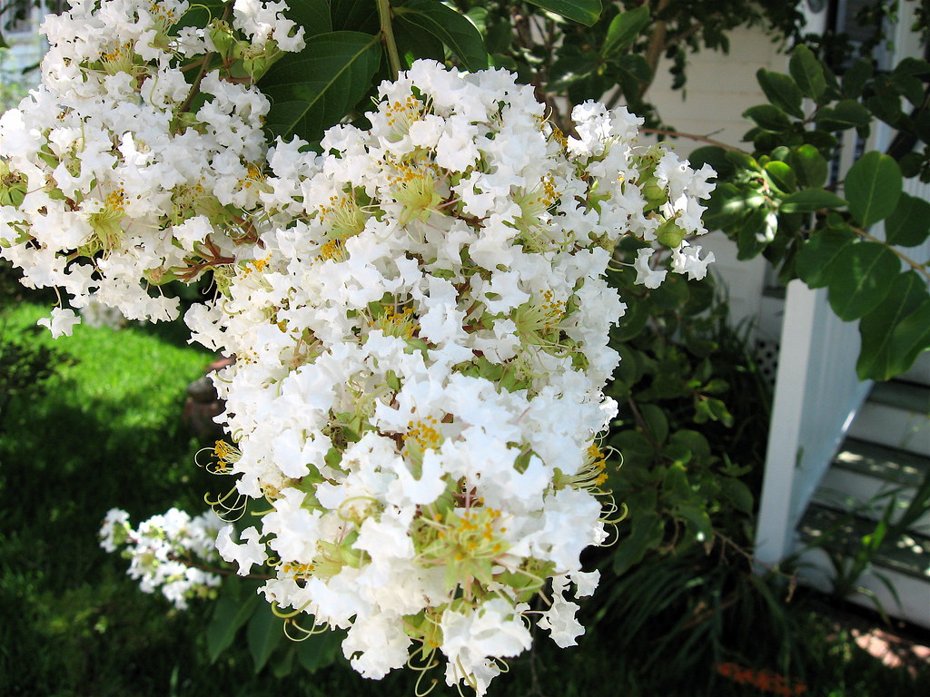 goodness... ) in Paincourtville S. Flickr