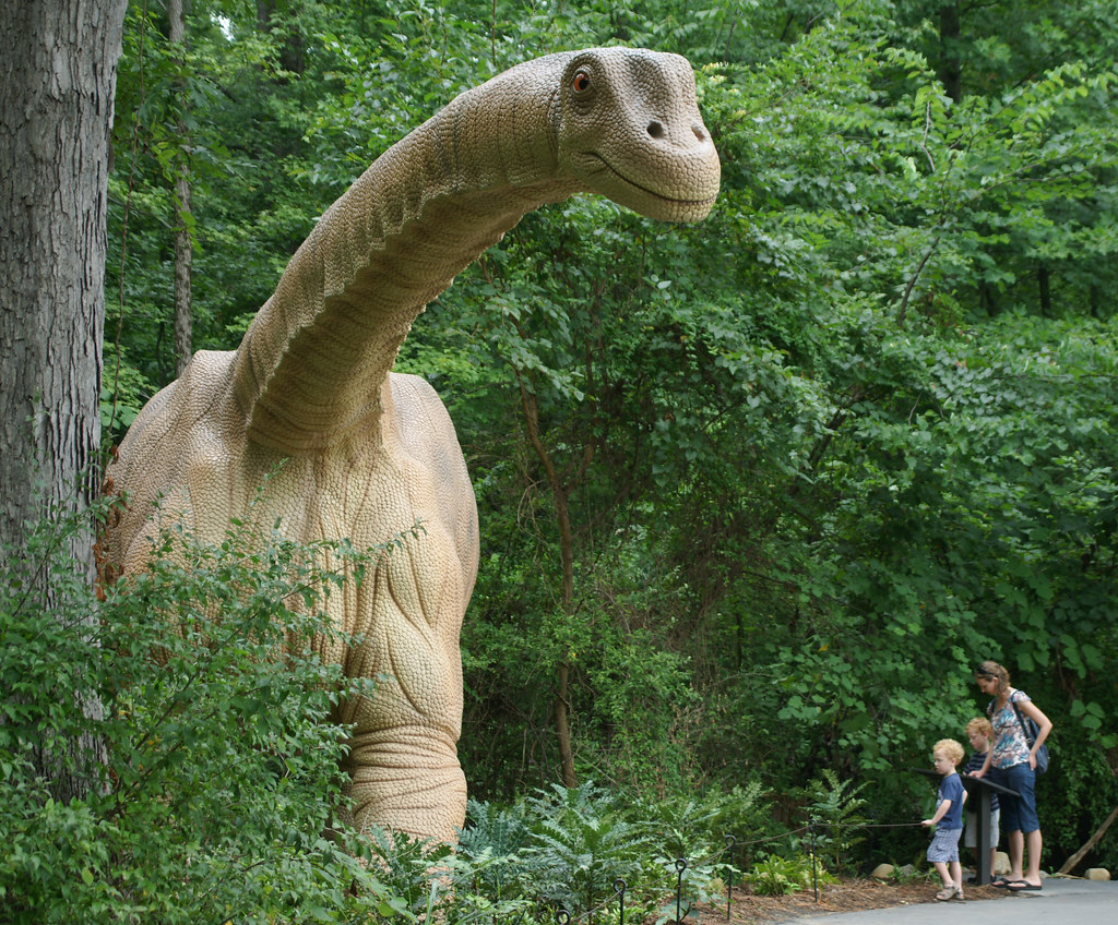 Dinosaur Trail visitors on the Museum of Life and