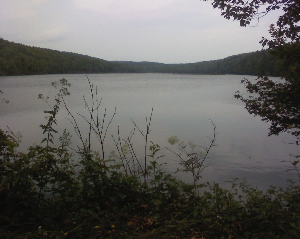 Spruce Lake Spruce Lake via Flickr