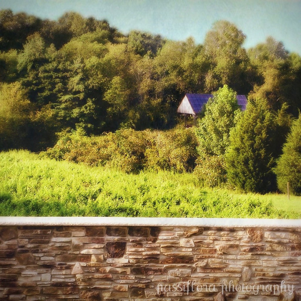 picnic at the vineyard maryelise Flickr