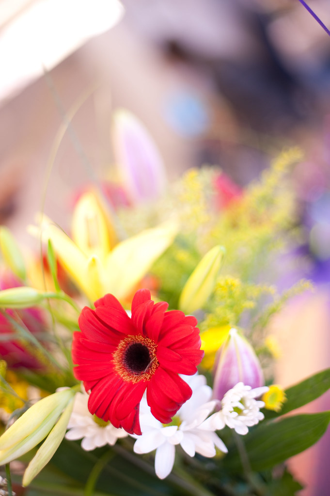 Karen's Birthday Karen's flowers Marcus Ingram Flickr