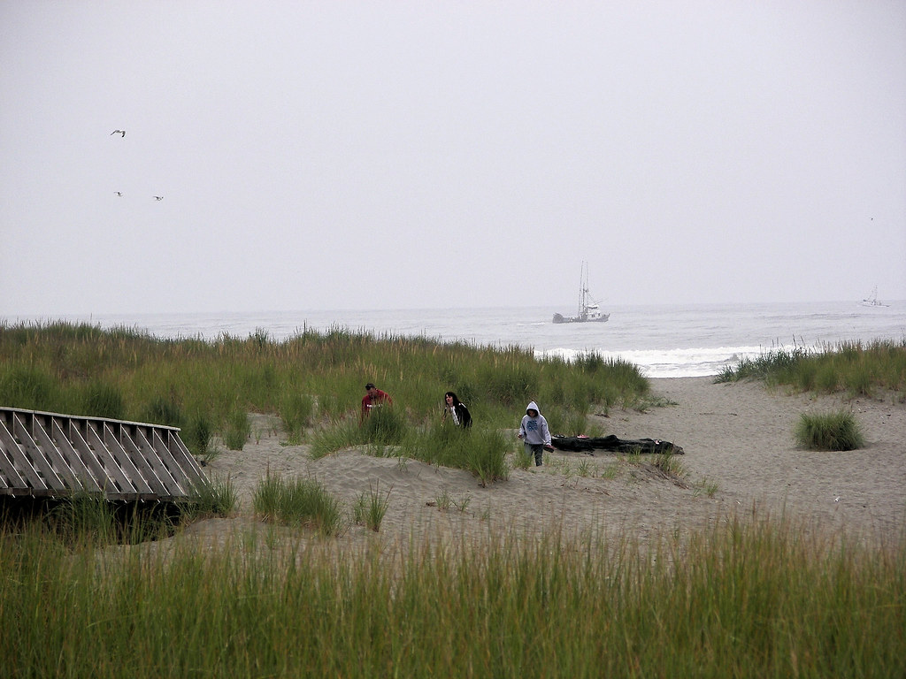 Beach at Copalis The beach at Copalis Beach, Washington. T… Flickr