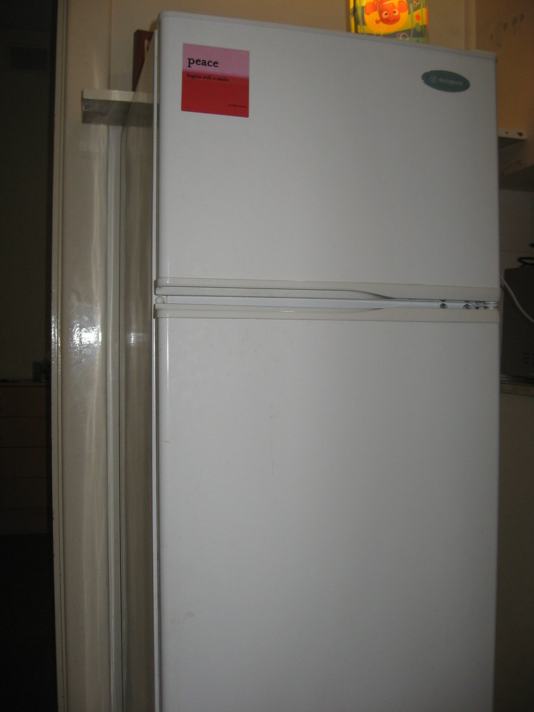 Energy Star Freezer/Regfridgerator maryhenander Flickr