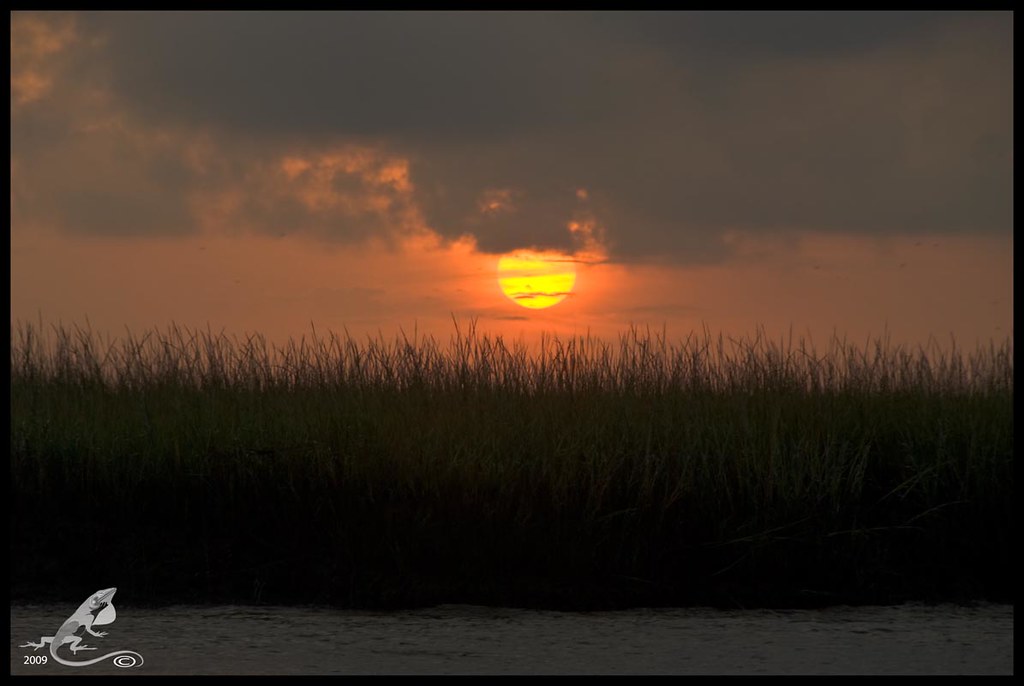 Sailors Grave There's no flowers on a sailors grave No lil… Flickr