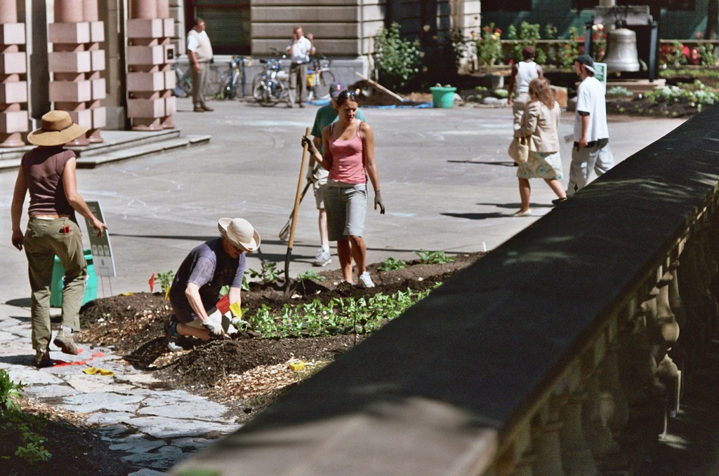 city hall garden food grown here goes to a food bank. it'sâ€¦ Flickr