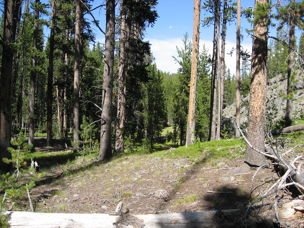 IMG_4680 Trail from Mary Lake to Lakes yellowstonehiker Flickr