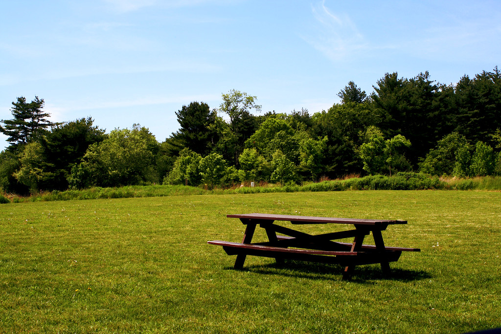 Picnic Landscape Great Brook Farm State Park, Carlisle, MA