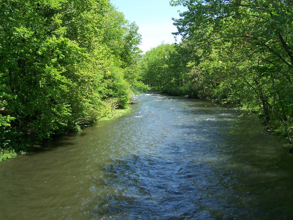 Lackawanna River, Bridge Street, Peckville View of the Lac… Flickr