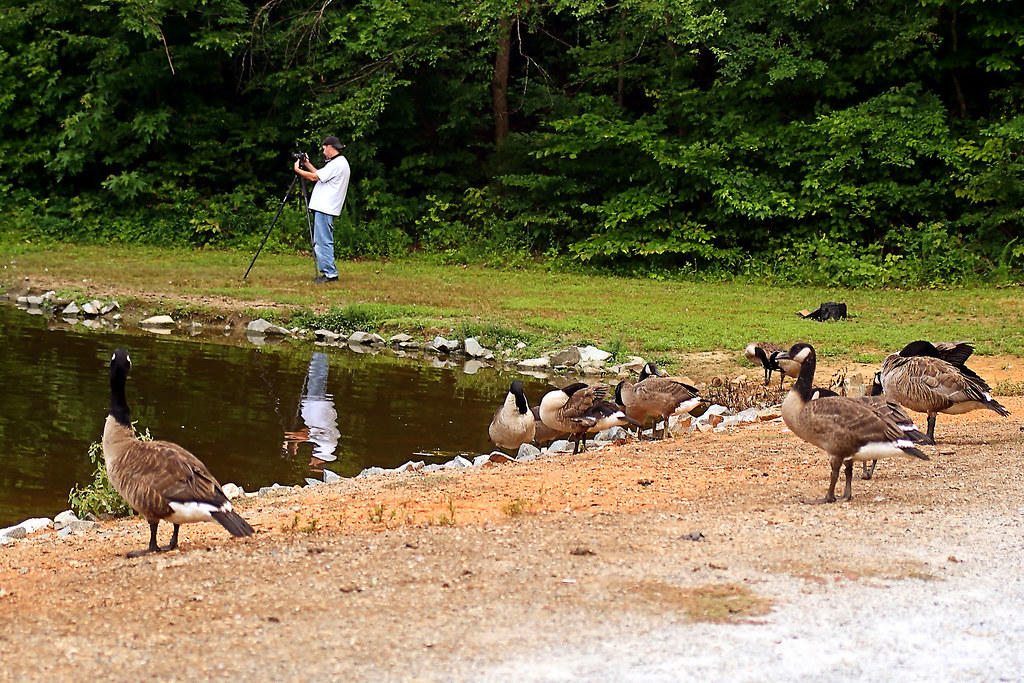 Elevation of Ben Lee Road, Ben Lee Rd, Thomasville, NC, USA
