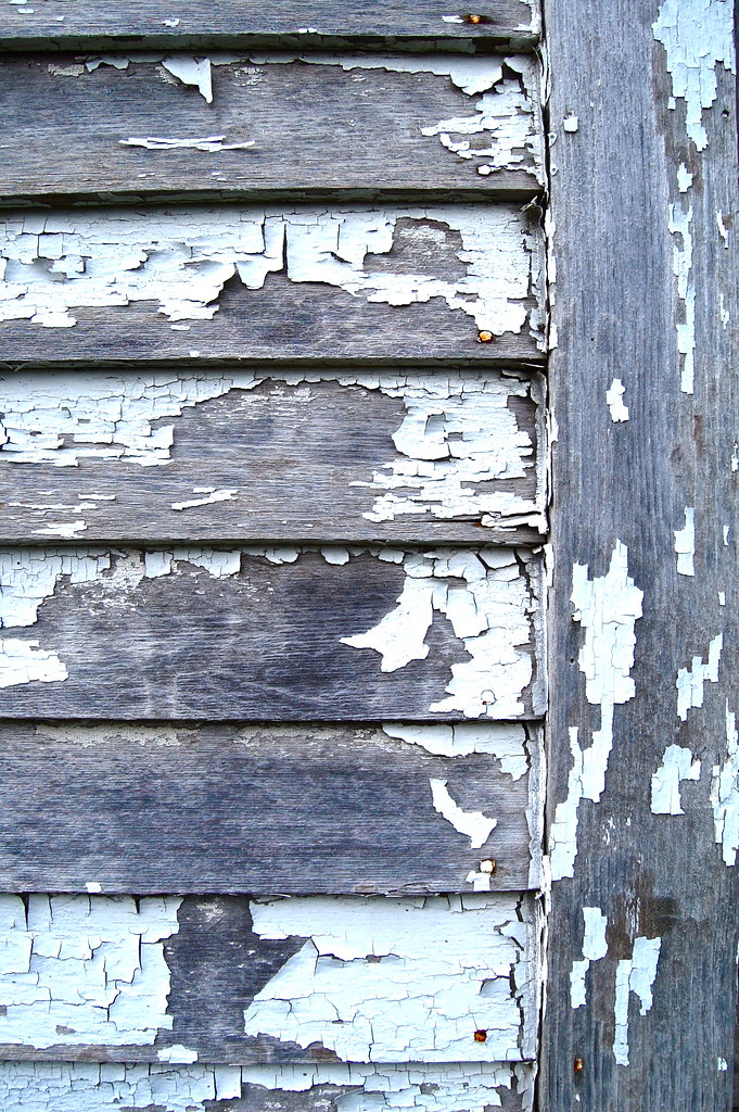 Did you eat paint chips as a kid? Mmm...lead poisoning. Ni… Flickr