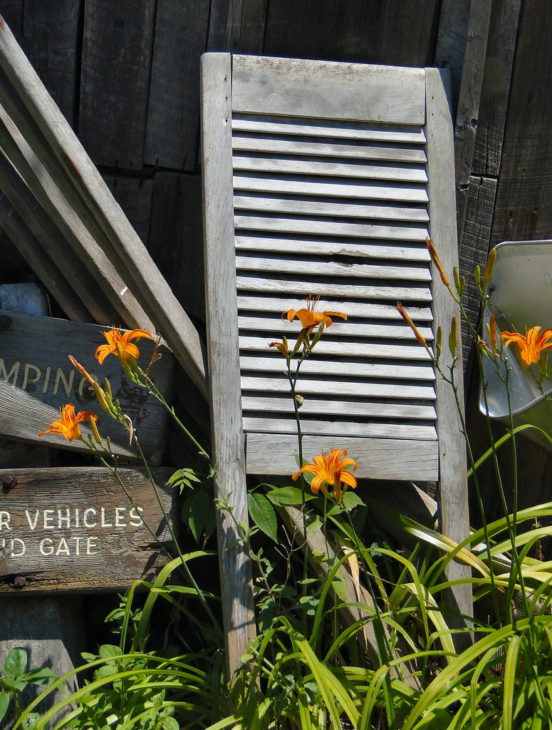 Washboard The hard way to wash clothing. Cindy Seigle Flickr