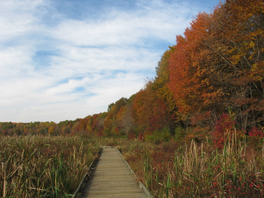 Huntley Meadows in Fall Colors Taken at Huntley Meadows in… Flickr