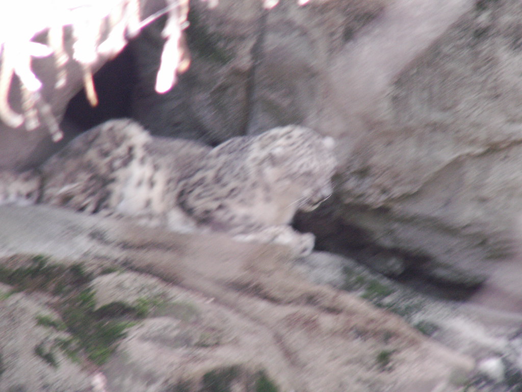 Rhode Island Zoo 037 J.Bowman Flickr