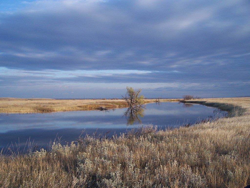 Beaver Creek WPA Beaver Creek WPA is just one of 9 Waterfo… Flickr