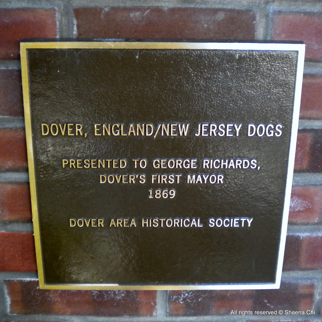 Dover Dogs Dover Town Hall 37 N. Sussex Street in Dover,… Flickr