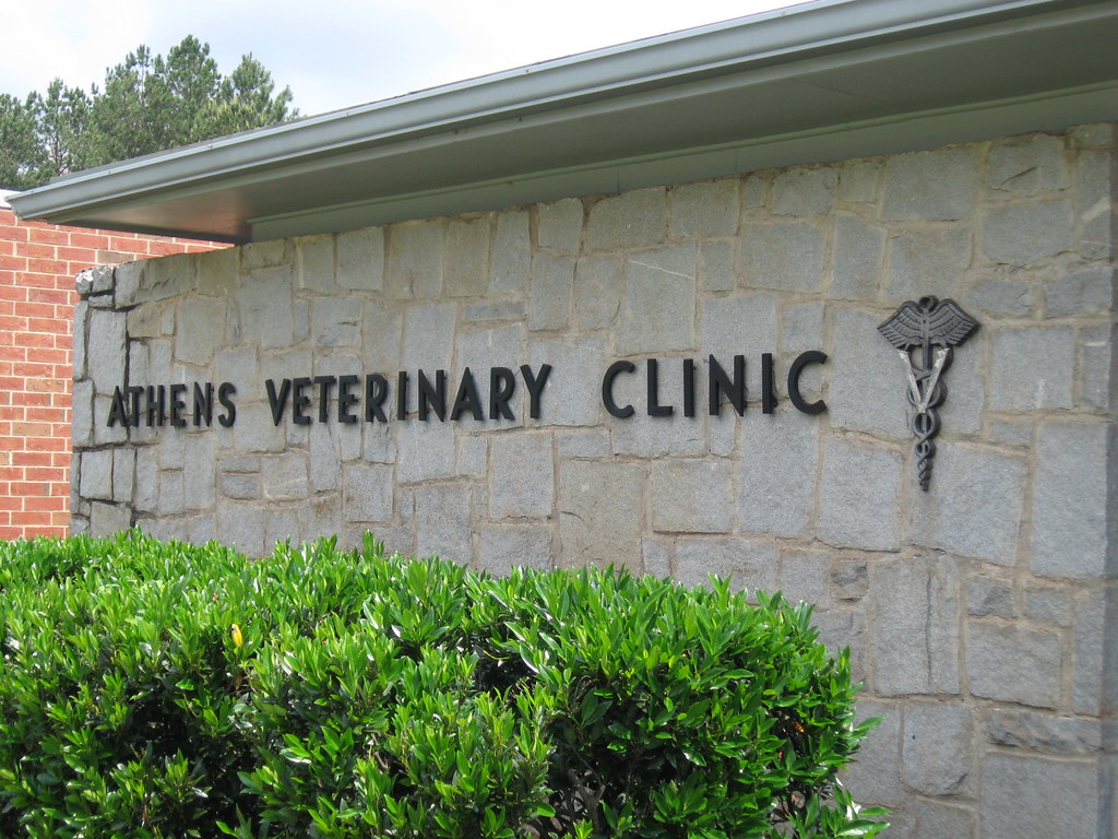Athens Vet Clinic elevator_lady Flickr