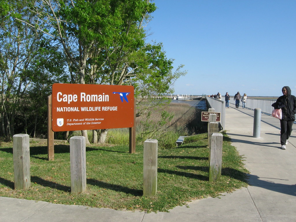 Cape Romain, SC Flickr