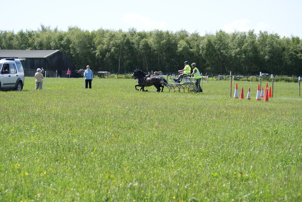 flowdons H D T 172 Dumfries and Galloway Horse Driving Club Flickr
