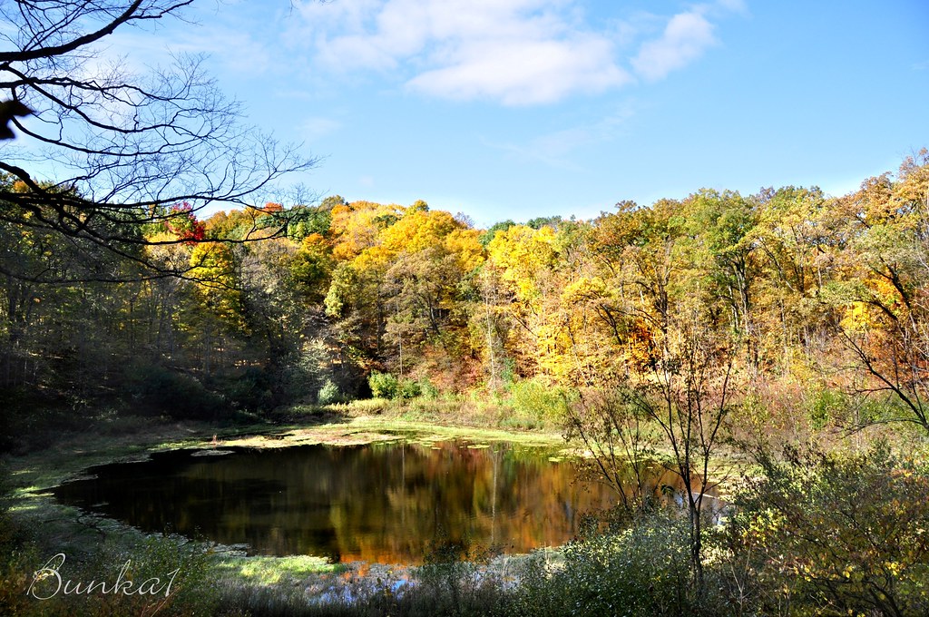Kettle Moraine 2009 038.jpg2 The water in a glacial Kettle… Flickr