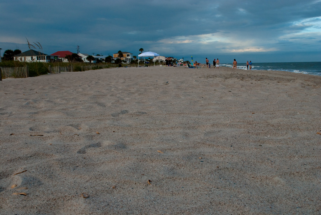 Edisto Island18 pixculture Flickr