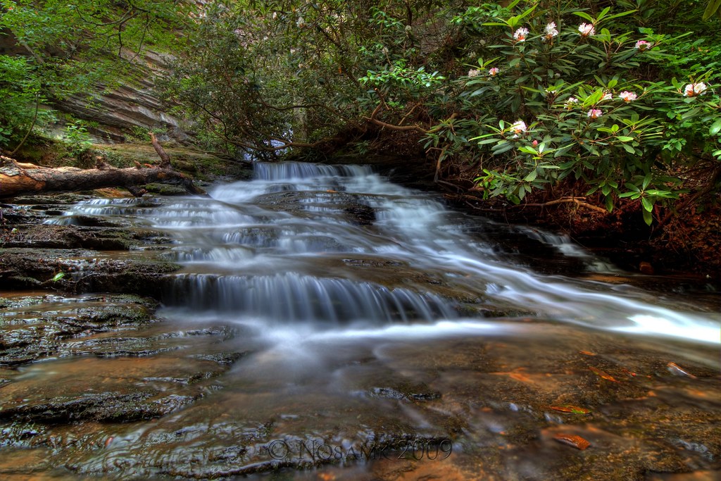 Elevation of NC E, Lawsonville, NC, USA Topographic Map Altitude Map